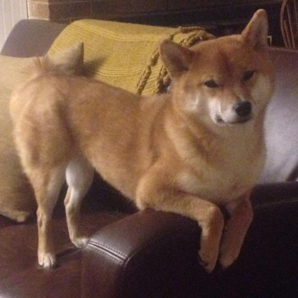 开云入口-“拳击狂潮席卷四川，谁能脱颖而出？”