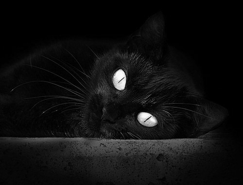 开云全站下载-中国女篮核心球员表现抢眼 引领球队节奏，中国女篮人物介绍