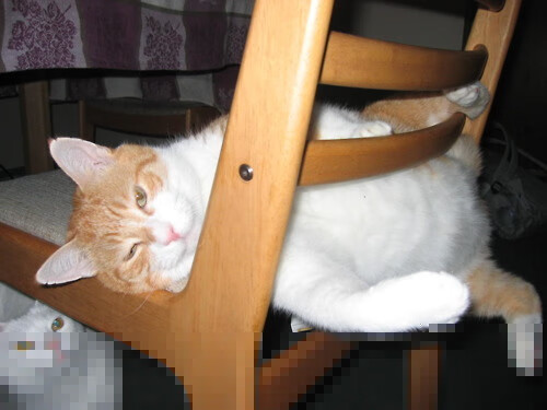 开云APP-中国篮球女性裁判人数不断上升推动多元执裁队伍建设，中国篮球国际级女裁判有哪些